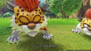 ドラゴンクエスト　コレクション　スライムとベビーパンサー編 ドラゴンクエスト コレクション スライムとベビーパンサー編