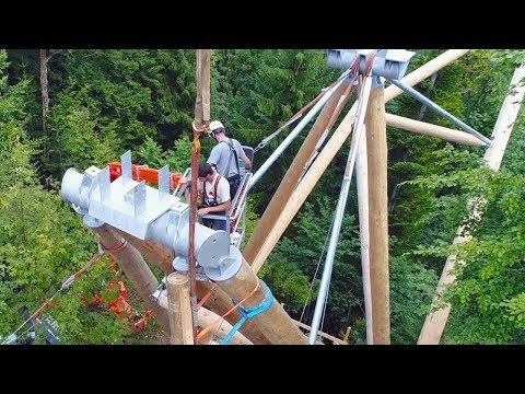 Spektakulär: Bau des ersten Baumwipfelpfads der Schweiz