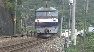瀬野八 山陽本線 下り 貨物列車 1051レ EF210-164号機 機関車 牽引 コンテナ貨物 26両編成 JR貨物 番堂原 2019.10.17 00906