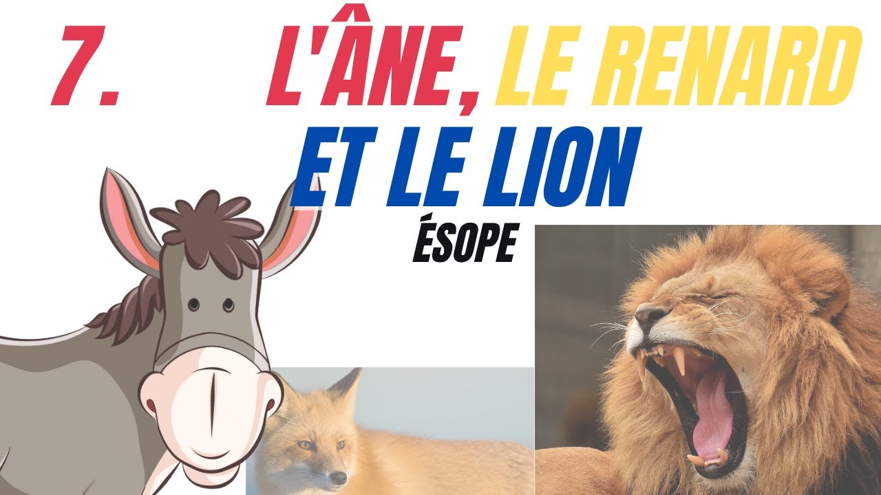 Il Se Comporte Comme Un Ane www.youtube.com