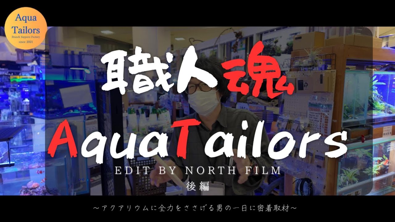 [一日密着取材]　熱帯魚店の舞台裏　アクアテイラーズ後編