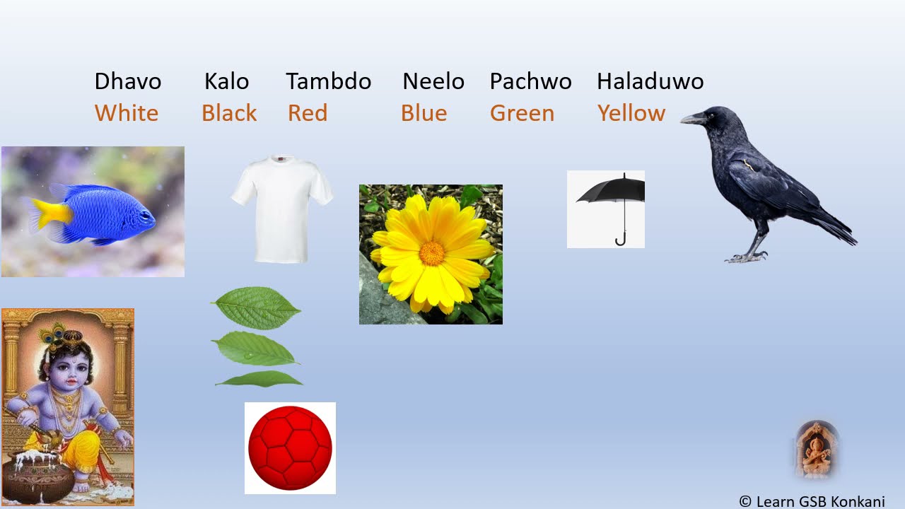 Learn #Konkani (Level I Lesson 3)