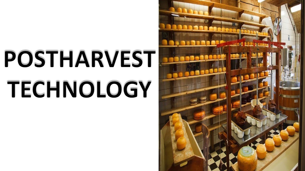 Food Processing/Post Harvest Technology for Food Safety Officer|FCI ...