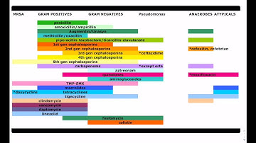 Antibiotic Coverage Made Easy || USMLE | COMLEX
