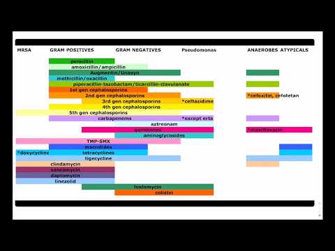 Antibiotic Coverage Chart