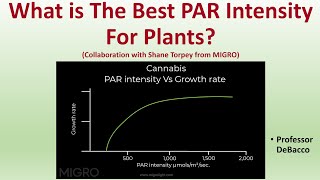 What is the Best PAR Intensity For Plants (Collaboration with MIGRO)