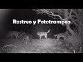 Rastreo y Fototrampeo en territorio lobero