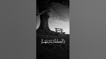 المنافقون والمنافقات بعضهم من بعض يأمرون بالمنكر وينهون عن المعروف #سورة #التوبة #ماهر_المعيقلي