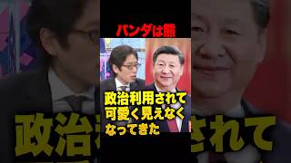 ㊗️20万再生!竹田恒泰「パンダは熊」中国によるパンダ制裁?に喝!政治利用される動物など可愛くない!よく見たら熊にしか見えない?中国とのパンダ外交は必要か?竹田恒泰がパンダ不要論を語る #中国