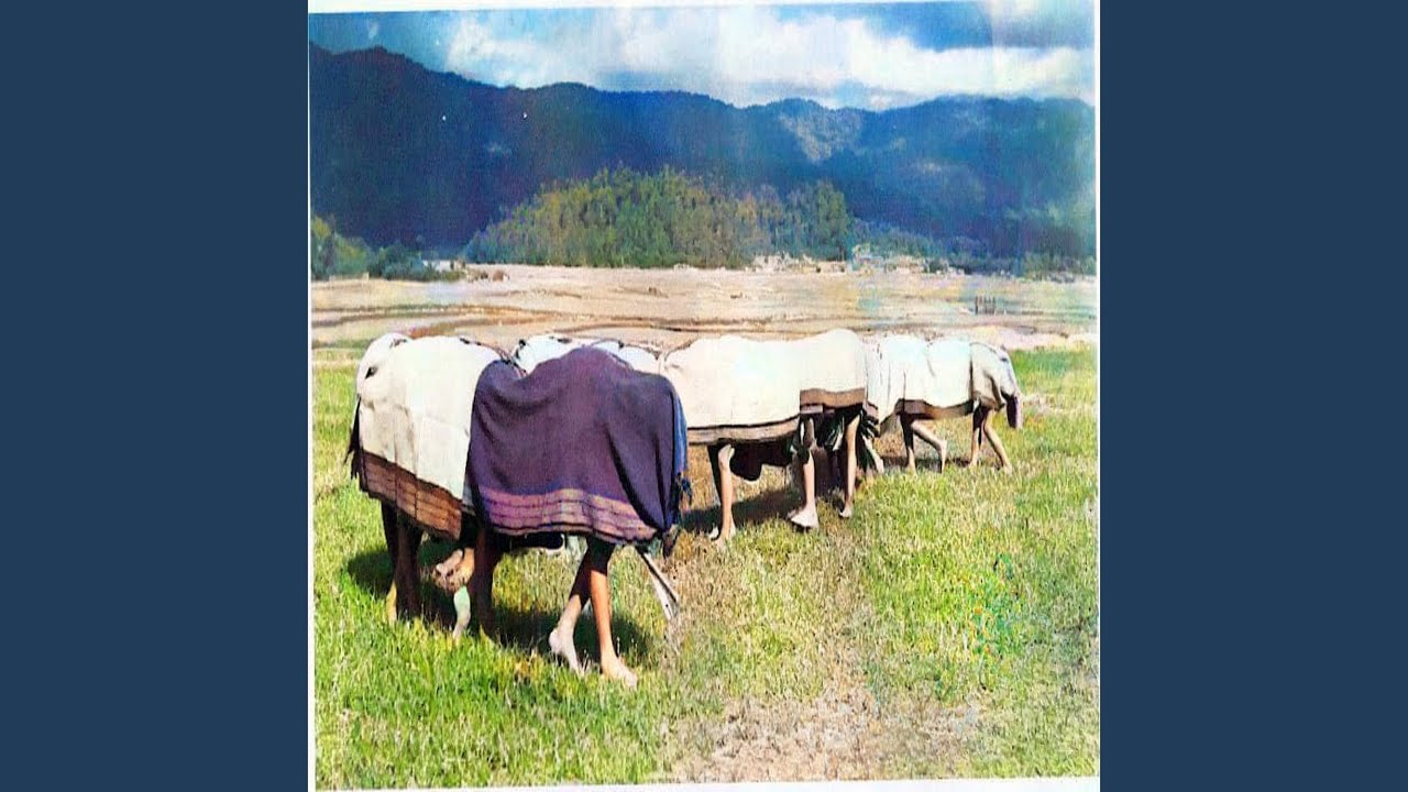 Pakhu Itu (Apatani Folk Song)