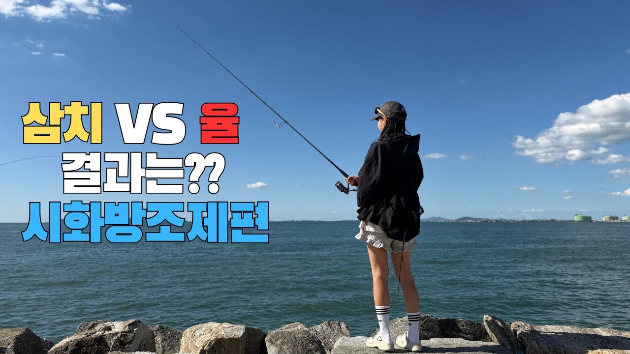 시화방조제 삼치낚시 출격!!! #다잡아율 #삼치낚시 #루어낚시 #메탈지그 과연 그 결과는 과연!!!