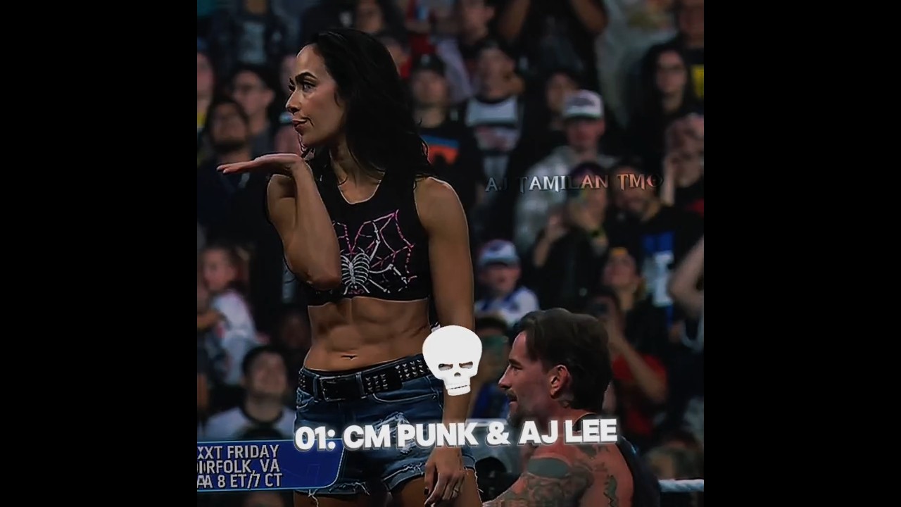 Top - 15 Greatest Mixed Tag Team Of All Time