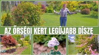 Az őrségi kert legújabb dísze - Borbás Marcsi: Kertem
