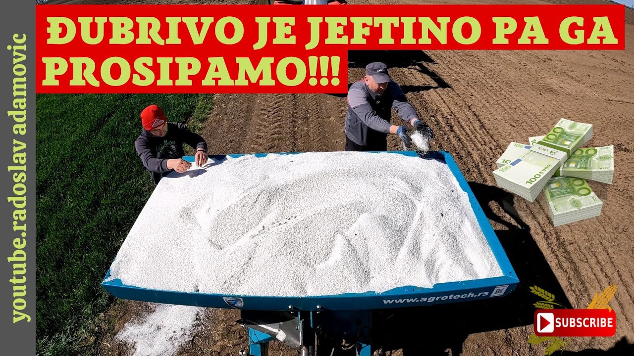 ĐUBRIVO JE JEFTINO PA GA PROSIPAMO!!! DRUGA PRIHRANA PŠENICE ; FERTILIZER IS CHEAP SO WE WASTE IT!