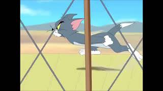 Tom And Jerry Tales Kitty Hawked 2007