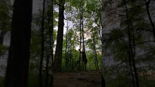 Ontario Wood Knocking in search of Bigfoot | Any Response