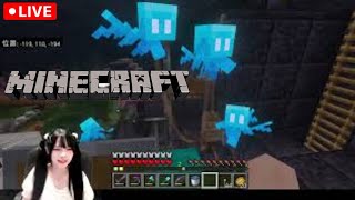 マイクラ雑談配信!part2