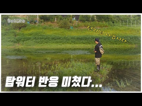 배스들이 미친 듯이 반응합니다[<strong>feat</strong>. 박성완] <strong>korea</strong> bass