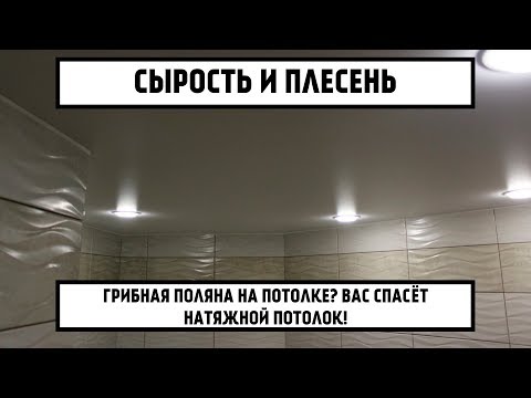 Чем обработать плесень и грибок под натяжным потолком, и стоимость очистки