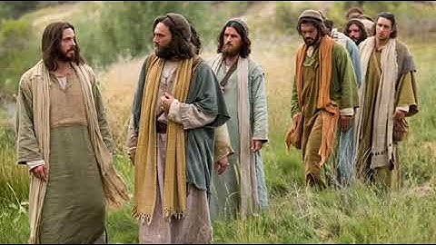 SUY NIỆM LỜI CHÚA, THỨ NĂM, TUẦN XIV THƯỜNG NIÊN - Lm. Vũ Đức Hiệp