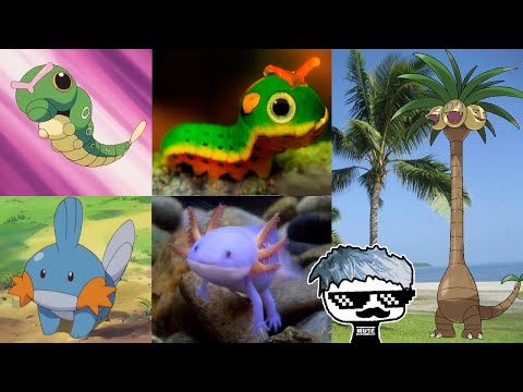Los 15 Pokémon sacados de la Vida Real (2016) [TOP] | SirKael [Pokemon GO]