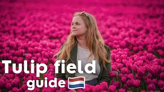 A guide for seeing the TULIP FIELDS in The Netherlands