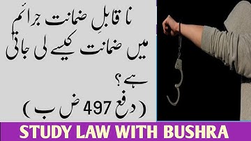 How To Take Bail In Non Bailable Offences I Sec 497 of CrPC