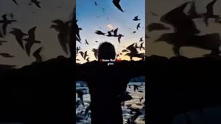 Ransom - Lil Tecca &amp; Juice WRLD | lyrics edit | aesthetic | english songs | slowed | whatsapp status
