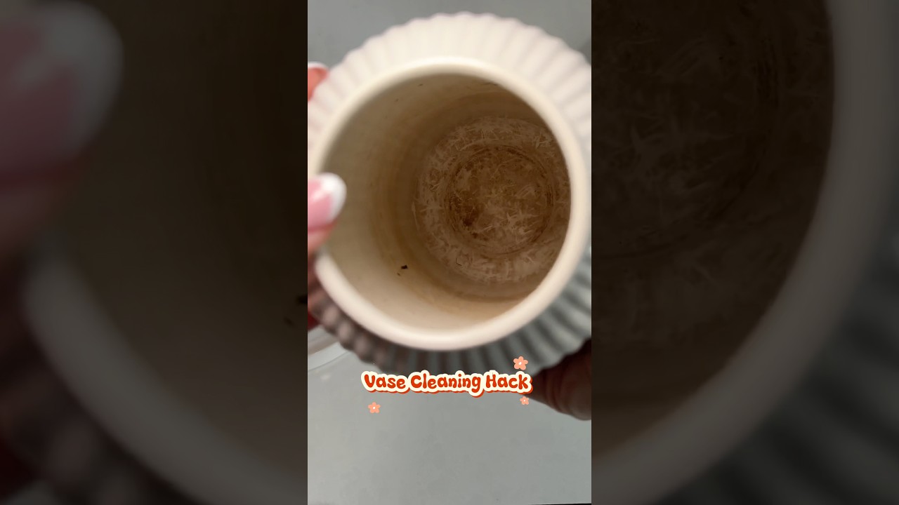 🧽 Vase cleaning tip💧Warm water + 2 denture tablets⏱️ Leave to fizz 20 mins, then rinse clean 💐