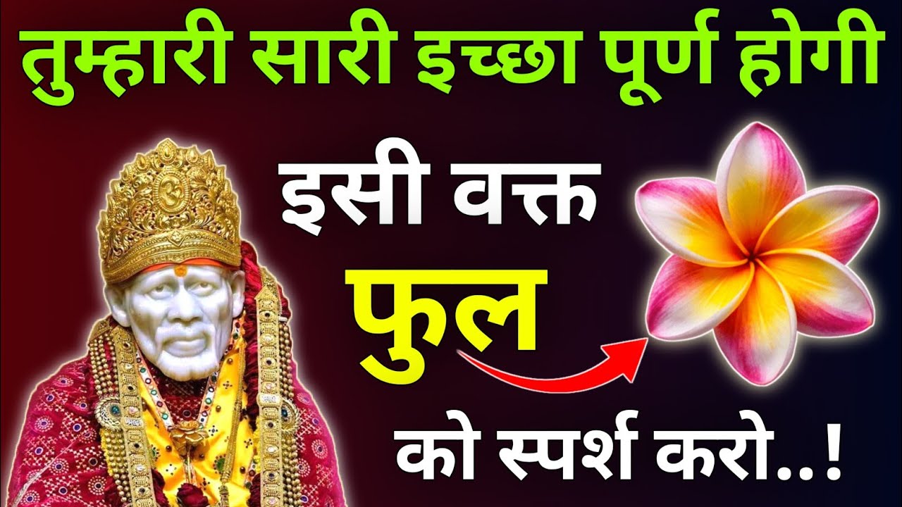 बहुत बड़ा चमत्कार होणे वाला है इसी वक्त थैली को छुओ |Sai Updesh |Sai Vichar |Sai Vani |Sai Gyan 