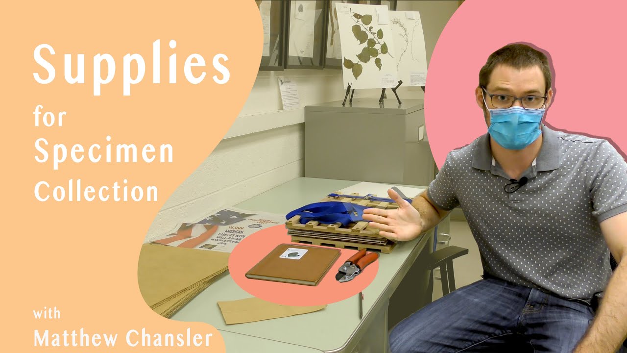 Supplies for Specimen Collection YouTube