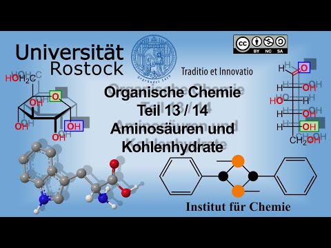 Einführung Organische Chemie Teil 13: Aminosäuren und Kohlenhydrate