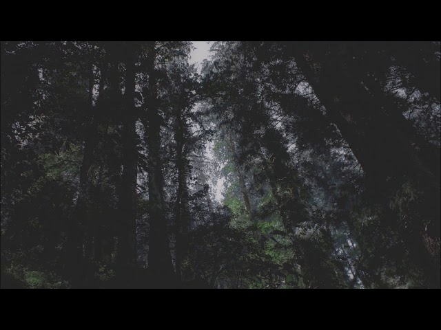 Regret - original piano composition