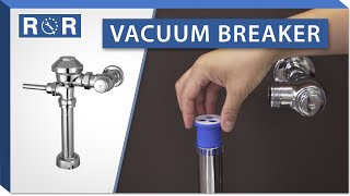 Zurn Aquavantage Flushometer | Vacuum Breaker | Repair and Replace