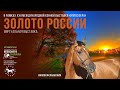 Виртуальная выставка лошадей донской и буденновской пород "Золото России"
