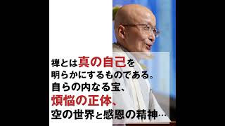 横田南嶺 人生を導く十牛図の教え 講演録CD 5巻セット YouTube