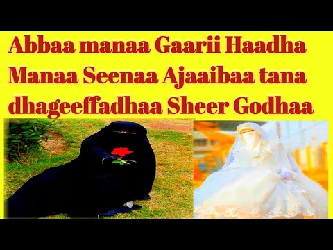 Dubartii Halkan Aruusaa Seenaa Hojjatte RABBIIN Dubartii Akkanaa Haa Baay Isu