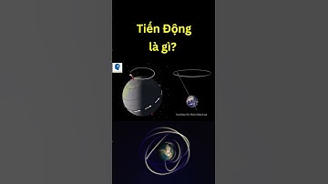 Tiến Động là gì? | Tri thức nhân loại