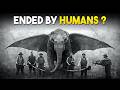 Last Photos Ever of Extinct Animals | Part 3