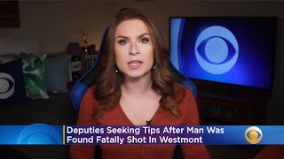 Deputies Seeking Tips After Man Was Found Fatally Shot In Westmont
