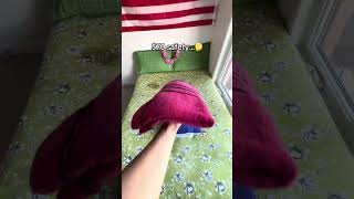 The Last One Is The Best Option