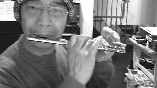 Playing Piccolo   As Tears Go By in F