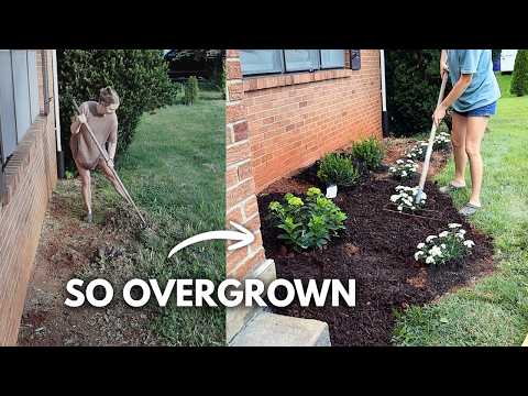 Our Front Yard Was Completely Overgrown… So I Fixed It