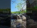 The sound therapists won't tell you about #free #healing #river