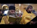 Акафист святителю Спиридону Тримифунтскому: читаем и поем вместе