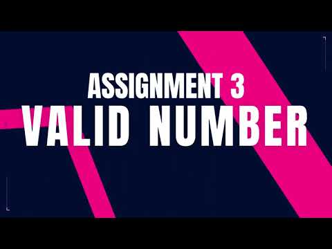 Valid Number | Assignment 3 || Python Coding || Nxtwave ccbp 4.0 telugu || Python Tips TRicks | CCBP