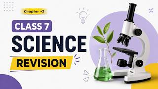Exploring Substances: Acidic, Basic and Neutral | Class 7 Science |Chapter 2 Revision |Periodic Test