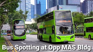 [Last Day of 2020] Bus Spotting at Opp MAS Bldg