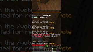 How To Vote On Penguin.GG 101!?!?!