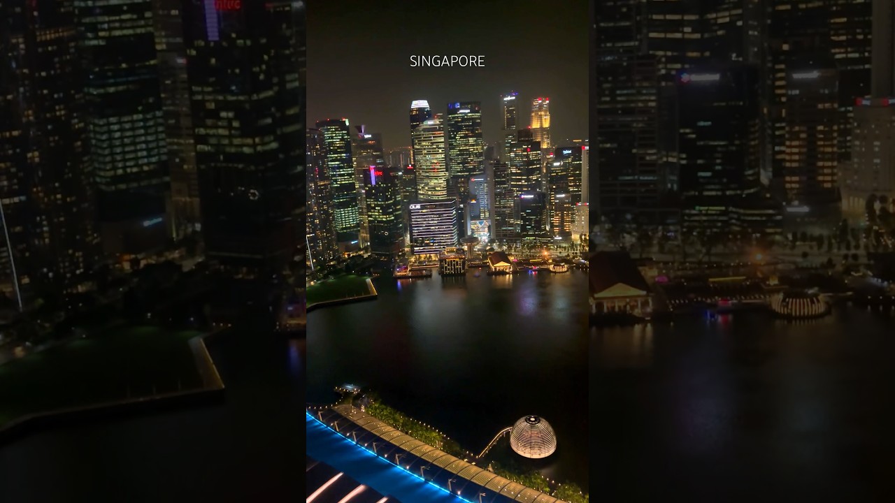 ✨Amazing Singapore Skyline in the night 🌃🇸🇬 
